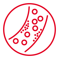 Naudingas cholesteroliui